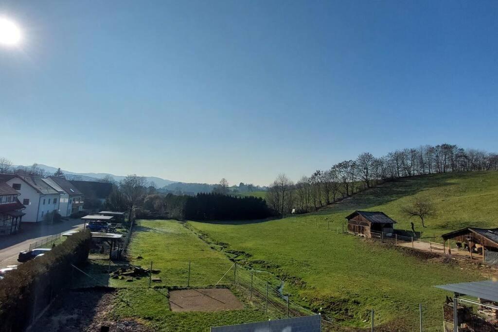 Grosse Tolle 4 Zimmer Ferienwohnung Im Herzen Des Odenwaldes Moerlenbach Bagian luar foto