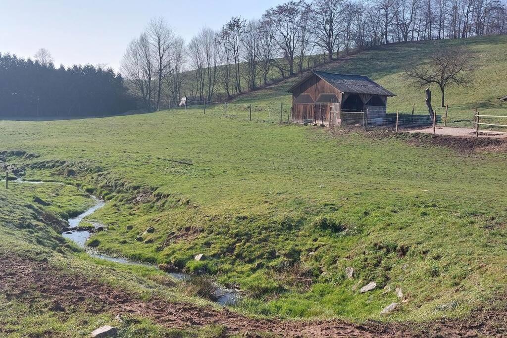 Grosse Tolle 4 Zimmer Ferienwohnung Im Herzen Des Odenwaldes Moerlenbach Bagian luar foto