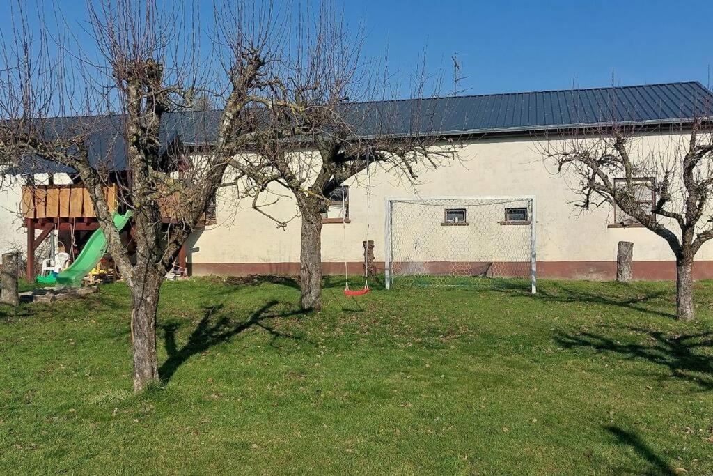 Grosse Tolle 4 Zimmer Ferienwohnung Im Herzen Des Odenwaldes Moerlenbach Bagian luar foto